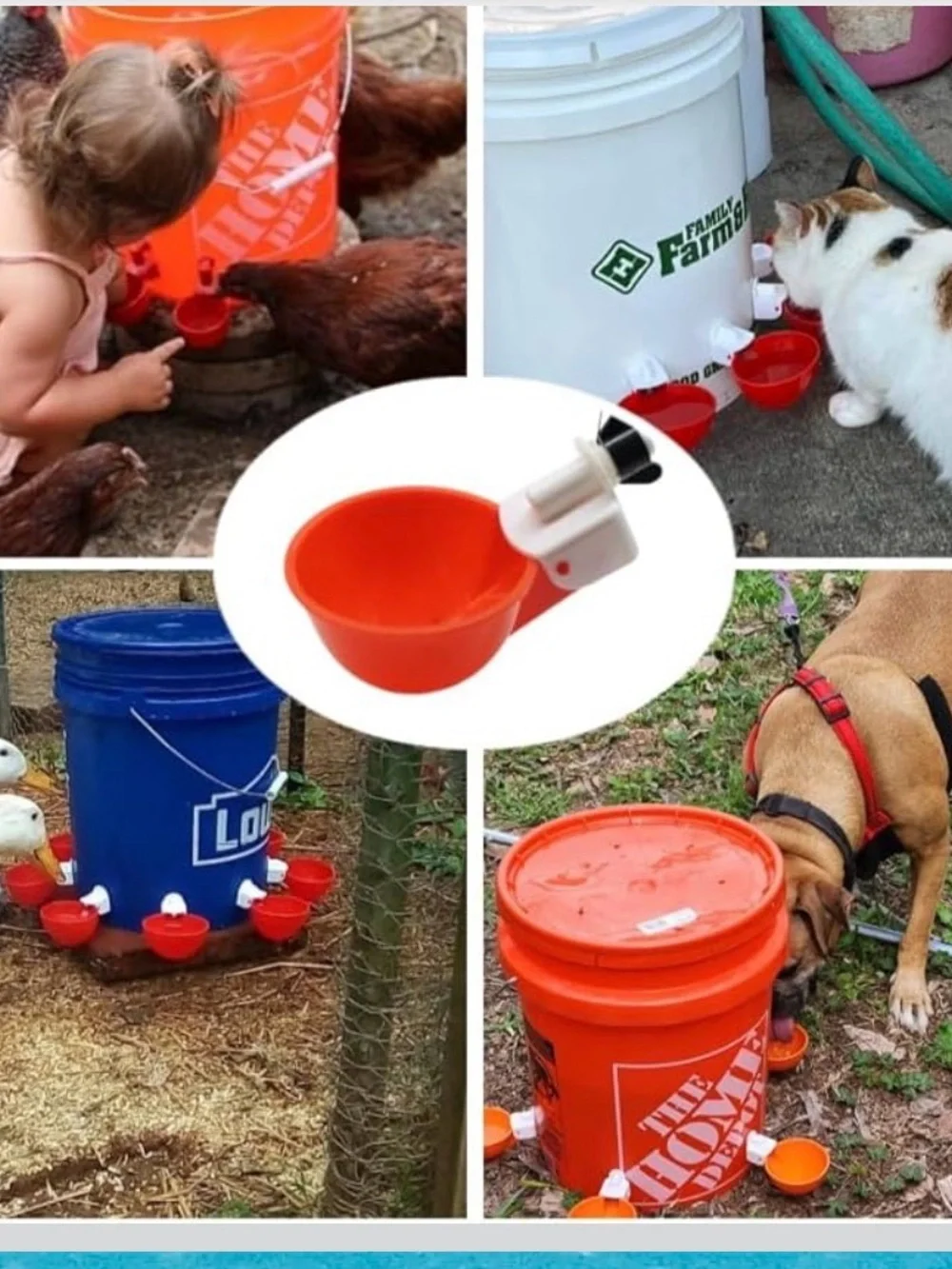 New Open Bag 12pack Chicken Waterer Cups, Poultry Water Feeder with Drill Bit